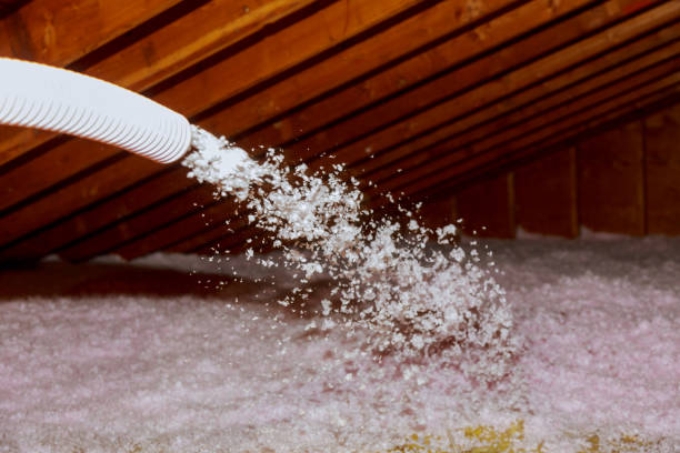 Best Local Insulation Services  in South Highpoint, FL