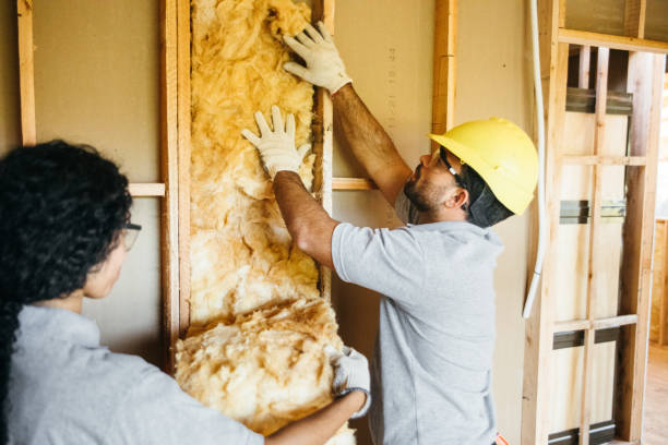 Best Attic Insulation Installation  in South Highpoint, FL